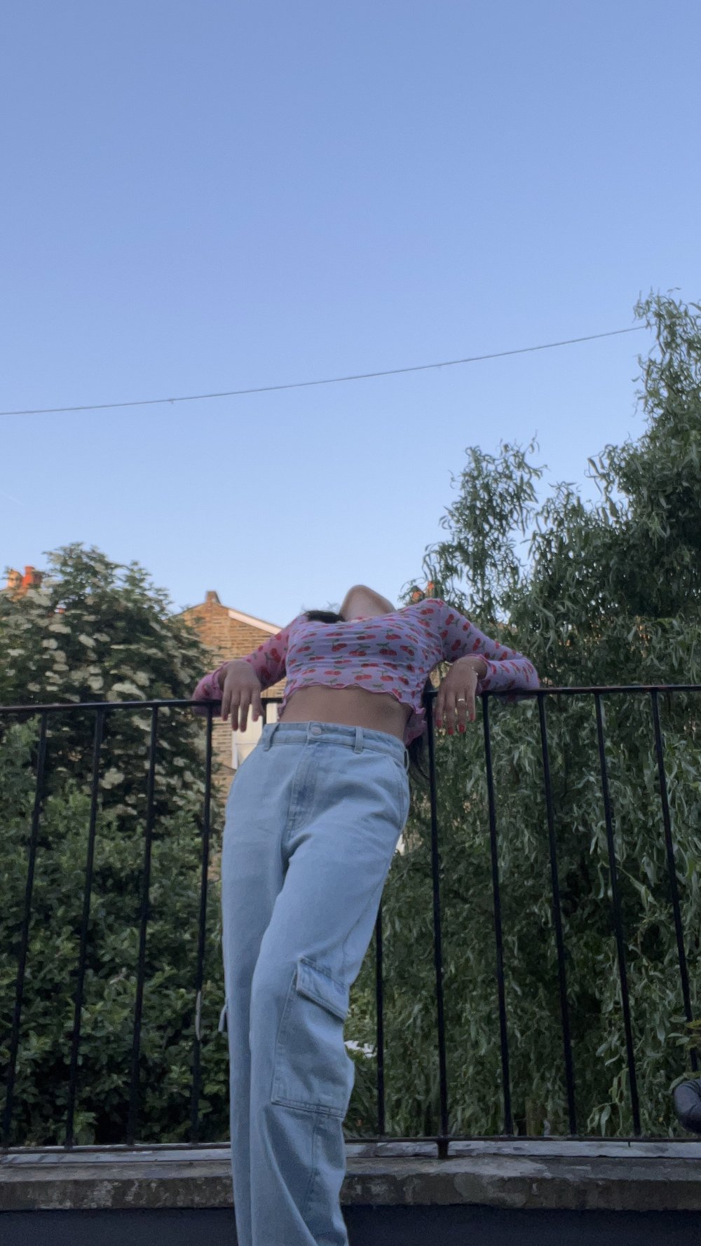 Sinta Long Sleeve Mesh Top - Cherries